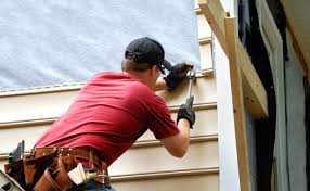 Best Wood Siding Installation  in Hector, MN